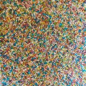 Rainbow/White Mix Sensory Hand-Dyed Rice (2 Cups)
